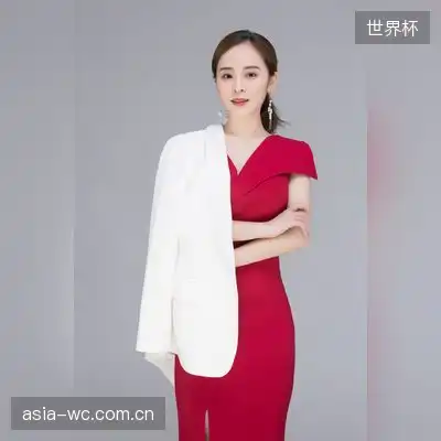 董岚庆